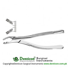 American Pattern Tooth Extracting Forcep Fig. 150AS (For Upper Incisors, Canines, Premolars; Split Beaks) Stainless Steel, Standard